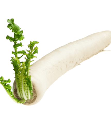 Fresh Asian Mooli Radish/Daikon (imported) 200g
