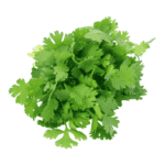 Fresh Asian Coriander (imported) 100g