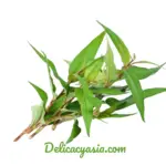 Faresh Vietnamese Coriander (Pak Prawe) 100g