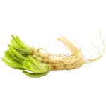 Fresh Coriander Root (imported) 100g