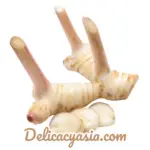 Fresh Young Ginger (Galangal/Galanga) imported 100g