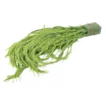 Fresh Acacia Leaf (Cha Om) imported 100g