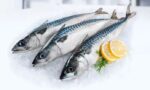 Mackerel Fish 1kg Plus (Price/kg)