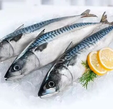 Mackerel Fish 1kg Plus (Price/kg)