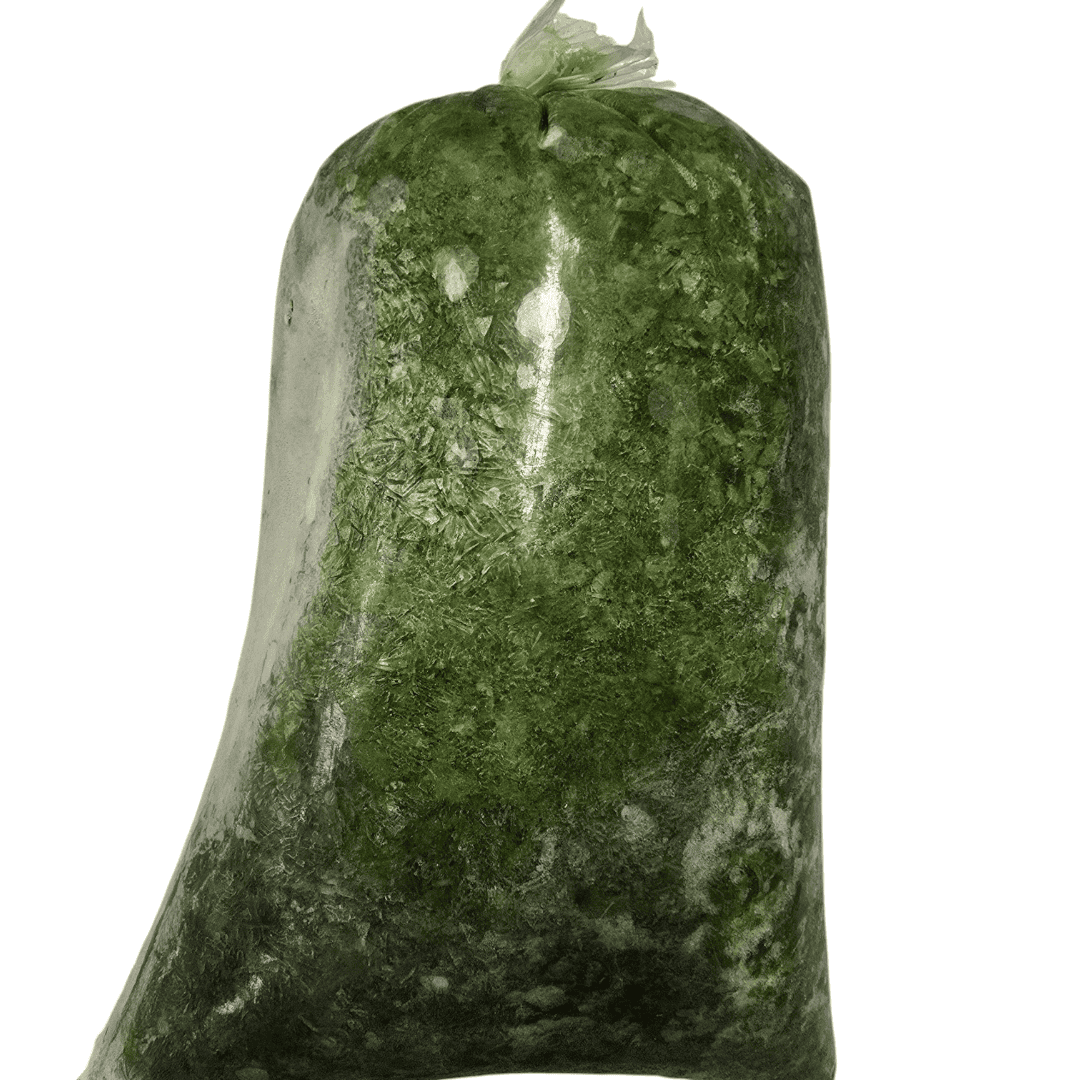 Photoroom-20250213_104639